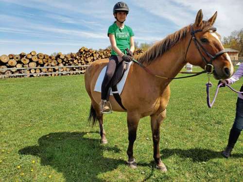 Supplied photo
Urban Stable offers kids' programming during the school year. Its founder, Wendy MacDonald, recently announced she is retiring after 20 years.