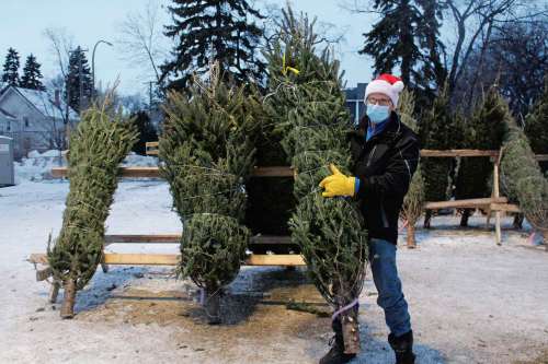 Photo by Kelsey James
The 67th Winnipeg Scout Group hosts its Christmas tree sale each year in River Heights. Money raised goes to toward the cost of camping equipment, supplies, activities and registration fees. This year, it has sold more trees earlier in the season than ever before.