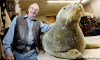 TREVOR HAGAN / WINNIPEG FREE PRESS 
Jim Baxter of Telesky Taxidermy with a bearded seal from the Arctic that is going to be shipped to a museum in Poland.