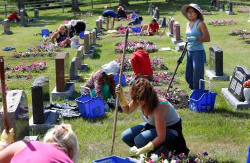 WAYNE GLOWACKI / WINNIPEG FREE PRESS
Workers weed the plots containing the 64,000 petunias that are in 