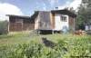 Dogs roam outside a typical house in Wasagamack First Nation, where 60 per cent of houses have no running water.