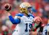 THE CANADIAN PRESS/Jeff McIntosh
Winnipeg Blue Bombers quarterback Matt Nichols.