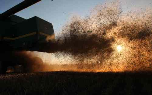 The Anderson family work together to combine one of their fields of wheat that has been in their family for six generations on a warm autumn evening.
September 14, 2016