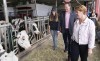 Marie-Claude Bibeau, Minister of Agriculture and Agri-Food, Pierre Lampron, president of the Dairy Farmers of Canada and farm owner Veronica Enright, right to left, walk through the stalls of a dairy farm in Compton, Que., Friday, Aug. 16, 2019. Canada's agriculture minister is urging Canadian National Railway Co. and its workers to reach a deal to alleviate the impact the ongoing strike is having on farmers. THE CANADIAN PRESS/Paul Chiasson