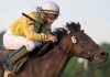 DAVID LIPNOWSKI / WINNIPEG FREE PRESS FILES
Live horse racing action at Assiniboia Downs in 2014.