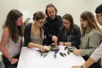 SUPPLIED PHOTO
Prof. Kevin Fraser (centre), and  graduate and undergraduate students Alisha Ritchie (from left), Amélie Roberto-Charron, Amanda Shave, Kelsey Bell and Lawrence Lam examining window-killed birds in his lab in the department of biological sciences at the University of Manitoba.