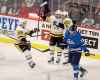 THE CANADIAN PRESS/Trevor Hagan
Pittsburgh Penguins' Jake Guentzel , Dominik Simon and Sidney Crosby celebrate after Crosby scored during the first period in Winnipeg, Tuesday.