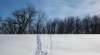 MIKE DEAL / WINNIPEG FREE PRESS FILES
Tracks can be seen in the snow close to the United States border at Emerson, Man. Refugees are risking freezing temperatures to cross from the U.S. into Canada.