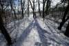 WAYNE GLOWACKI / WINNIPEG FREE PRESS
Footprints in the snow leading from the U.S. border to Emerson along a path used by refugee claimants.