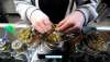 Pot is weighed at a medical marijuana centre in the U.S.. (Todd McInturf / The Associated Press files)
