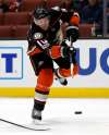 Ryan Kang / Associated Press files
Anaheim Ducks right winger Corey Perry