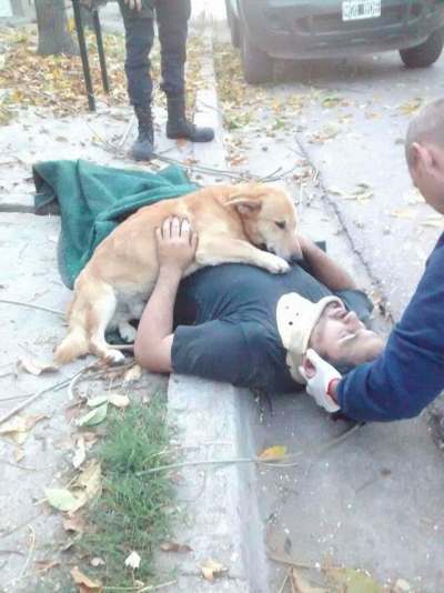 Jesus Hueche's dog Tony stays with him after Hueche fell while pruning a tree. (Def Civil B. Blanca / Facebook)