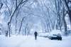 MIKAELA MACKENZIE / WINNIPEG FREE PRESS
Aaron Challis walks his dog, Beasley, in the middle of the road to avoid deep snow in Winnipeg on Monday.