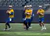 17), and Bryan Bennett (18
ANDREW RYAN / WINNIPEG FREE PRESS The three Blue Bombers quarterbacks, Matt Nichols (15), Chris Streveler in practice action at Investors Group Field on August 14, 2018.