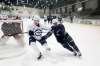 Justin Samanski-Langille / Winnipeg Free Press
Luke Green (left) and teammate Skyler McKenzie battle for the puck during a drill Wednesday at the Jets development camp. Following an inury last season, Green returned ot score five goals and 15 points in 14 regular-season games.