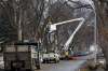 MIKE DEAL / WINNIPEG FREE PRESS
A City of Winnipeg crew cuts down an elm tree on Lenore Street Wednesday morning. Last year, the city removed almost 12,000 diseased trees from city boulevards, parks and natural areas, but only planted 2,500 replacement trees.