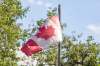 SASHA SEFTER / WINNIPEG FREE PRESS
The Canadian flag flies above Barry and Brenda Mattern campsite in Birds Hill Park.