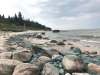 Kristie Pearson photo
Algae covers the Lake Winnipeg shoreline near Victoria Beach in an oil spill-like fashion.