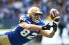 John Woods / The Canadian Press files
Bombers receiver Drew Wolitarsky hasn&rsquo;t caught a pass for a touchdown in the past 11 games.