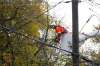 JOHN WOODS / WINNIPEG FREE PRESS 
A Manitoba Hydro worker cleans up tree branches around power lines caused by the snowstorm that hammered most of southern Manitoba last weekend. Elections Canada and Manitoba Hydro have come up with a plan to allow field workers to cast their ballots in the federal election Monday.