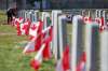 Tim Smith / Brandon Sun
Canadian flags and poppies were placed at grave markers by students and other volunteers during the No Stone Left Alone ceremony at the Brandon Municipal Cemetery.