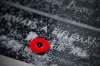 John Woods / THE CANADIAN PRESS Files
A poppy is placed on a memorial plaque at a cenotaph during a Remembrance Day service at Vimy Ridge Memorial Park in Winnipeg, Nov. 11, 2018.