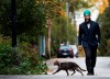 NDP leader Jagmeet Singh walks as a cat crosses by during a campaign stop in Vancouver, B.C., on Saturday, October 19, 2019. THE CANADIAN PRESS/Nathan Denette