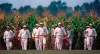 FILE - In this July 22, 1977, file photo, people portraying ghost players emerge from a cornfield as they reenact a scene from the movie 