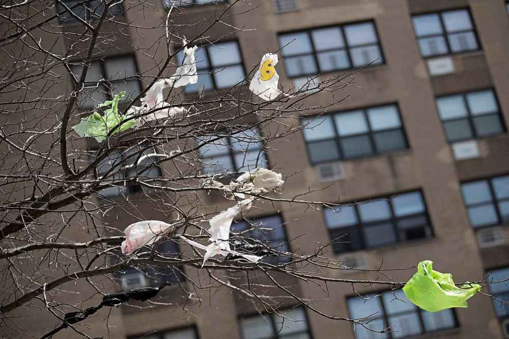 (AP Photo/Mary Altaffer, File)
Premier Brian Pallister said the province has been considering the elimination of plastic bags for some time.