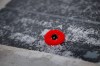 CP
A poppy is placed on a memorial plaque at a cenotaph during a Remembrance Day service at Vimy Ridge Memorial Park in Winnipeg, Sunday, November 11, 2018. THE CANADIAN PRESS/John Woods