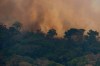 Fire consumes the jungle near Porto Velho, Brazil, Friday, Aug. 23, 2019. Brazilian state experts have reported a record of nearly 77,000 wildfires across the country so far this year, up 85% over the same period in 2018. Brazil contains about 60% of the Amazon rainforest, whose degradation could have severe consequences for global climate and rainfall. (AP Photo/Victor R. Caivano)