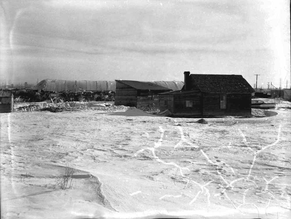 Gerry Cairns / Winnipeg Free Press Collection, Archives of Manitoba
Rooster Town, March 1959