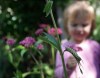 WAYNE GLOWACKI/WINNIPEG FREE PRESS Media launch for Manitoba Eco-Network in the organic back yard on Bartlet Ave. In front of  Oona George two monarch butterfly caterpillars on a Milkweed Plant.    Jenn S story. June 22 2006