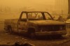 Deer wander among homes and vehicles destroyed by the Dixie Fire in the Greenville community of Plumas County, Calif., Friday, Aug. 6, 2021. (AP Photo/Noah Berger)