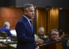 Conservative member of Parliament James Cumming rises during question period in the House of Commons on Parliament Hill in Ottawa on June 21, 2021. THE CANADIAN PRESS/Sean Kilpatrick