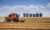 The Russian invasion of Ukraine is driving up global wheat prices as the conflict curbs exports of the crop, triggering shortages and setting the stage for worsening food inflation in Canada. A combine harvests a wheat crop near Cremona, Alta., Thursday, Sept. 9, 2021. THE CANADIAN PRESS/Jeff McIntosh