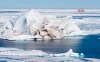 A iceberg floating in the Baffin Bay above the arctic circle dwarfs the Canadian Coast Guard icebreaker Louis S. St-Laurent Thursday, July 10, 2008. The Louis is on its annual voyage through Canada's Arctic that includes patrols through the Northwest Passage.&nbsp;Yukon's premier Sandy Sliver says he and the other two premiers of Canada's northern territories met with Prime Minister Justin Trudeau and the national defense minister on Monday to discuss Arctic sovereignty and security in light of the war in Ukraine. THE CANADIAN PRESS/Jonathan Hayward