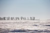 MIKAELA MACKENZIE / WINNIPEG FREE PRESS



Snowy fields near the Canada/US border about 10km east of Emerson on Thursday, Jan. 20, 2022. Two adults, one teenager, and one infant were found deceased in the area. For Chris Kitching story.

Winnipeg Free Press 2022.