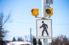 MIKAELA MACKENZIE / WINNIPEG FREE PRESS



Eye-level lights at the pedestrian crossing at Roblin Boulevard and Hunterspoint Road, where a boy was seriously injured in 2018, in Winnipeg on Wednesday, Feb. 23, 2022. For Ryan story.

Winnipeg Free Press 2022.