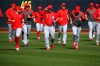 Cincinnati Reds third baseman Eugenio Suarez (7) leads teammates in sprints during spring training baseball workouts Friday, Feb. 21, 2020, in Goodyear, Ariz. (AP Photo/Ross D. Franklin)