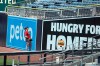 Arizona Diamondbacks Kole Calhoun watches as San Diego Padres Francisco Mejía's home run stays fair in the third inning of a baseball game Sunday, Aug. 9, 2020, in San Diego. (AP Photo/Derrick Tuskan)
