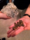 This April 11, 2017 photo shows nuggets of the rust-colored mineral pyrrhotite, right, and a chunk of concrete containing the mineral that's been removed from a crumbling basement, left, in Willington, Conn. THE CANADIAN PRESS/AP-Susan Haigh