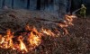 A firefighter manages a controlled burn to help contain a larger fire near Falls Creek, Australia, Sunday, Jan. 5, 2020. Canadian wildfire experts say Canada is very vulnerable to the kind of devastating wildfires ravaging Australia right now. THE CANADIAN PRESS/AP/Rick Rycroft