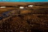 FILE - This undated aerial file photo provided by U.S. Fish and Wildlife Service shows a herd of caribou on the Arctic National Wildlife Refuge in northeast Alaska. President Joe Biden on Wednesday, Jan. 20, 2021, signaled plans to place a temporary moratorium on oil and gas lease activities in Alaska's Arctic National Wildlife Refuge after the Trump administration issued leases in a remote, rugged area considered sacred by the Indigenous Gwich'in. (U.S. Fish and Wildlife Service via AP, File)