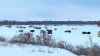 Ice fishing on the Red River north of Winnipeg. (File photo courtesy RCMP)