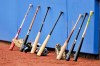 Toronto Blue Jays catcher's bats line the outfield wall during workouts at the team's spring training facilities in Dunedin, Fla., Friday, Feb. 14, 2020. THE CANADIAN PRESS/Steve Nesius