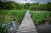 TOM THOMSON / WINNIPEG FREE PRESS
McKenzie Road resident Jack McKenzie walks  one of the trails at his lake property near Kenora. He and his wife Barb are longtime residents of the area  July 9, 2020