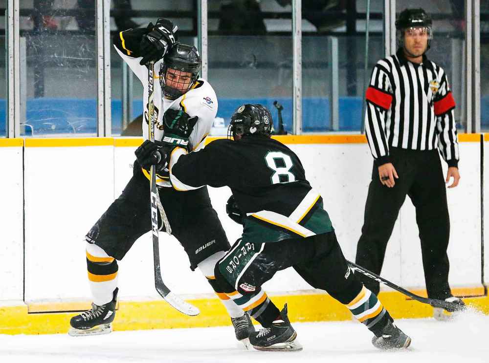 JOHN WOODS / WINNIPEG FREE PRESS
The Capital Region Junior Hockey League allows players up to the age of 21.