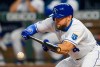 Kansas City Royals' Alex Gordon bunts during the third inning of a baseball game against the Pittsburgh Pirates in Kansas City, Mo., Saturday, Sept. 12, 2020. (AP Photo/Reed Hoffmann)