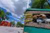 SASHA SEFTER / WINNIPEG FREE PRESS FILES
Police tape is seen in the garbage on June 9, 2019, near the intersection of Sara Avenue and Sherbrook Street, where Robert Donaldson died.